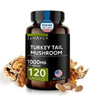 Buy turkey tail mushroom capsules